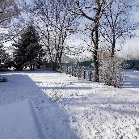 Szent Erzsebet Apartmanhaz Kecskemét Exteriör bild