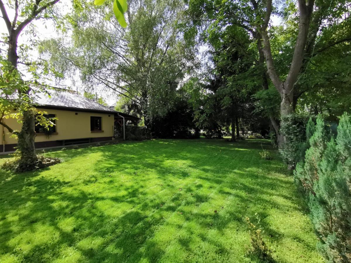 Szent Erzsebet Apartmanhaz Kecskemét Exteriör bild