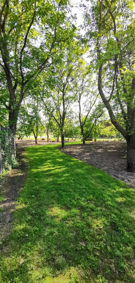 Szent Erzsebet Apartmanhaz Kecskemét Exteriör bild